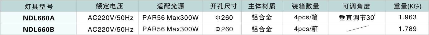 室內(nèi)高空筒射燈NDL660系列