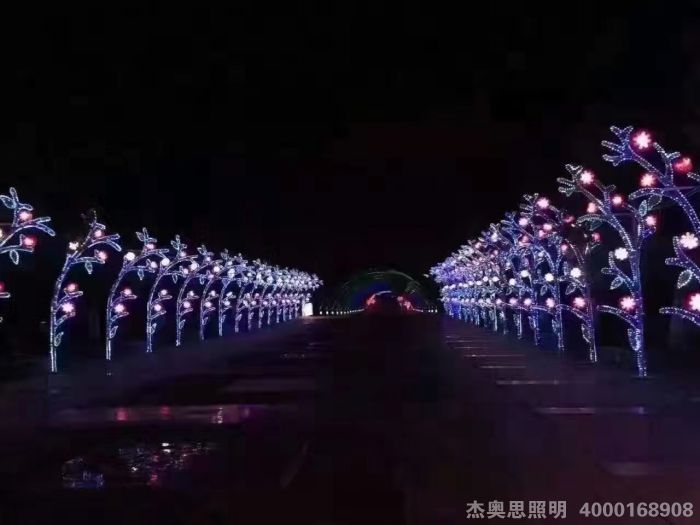 照片 175